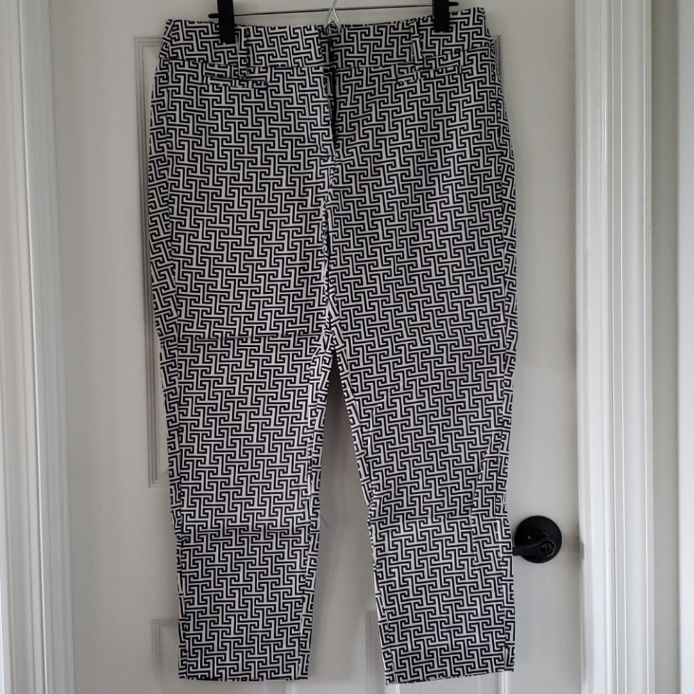 NWOT LOFT Riviera Pant